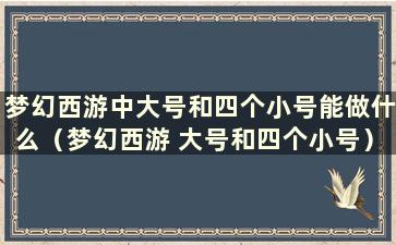 梦幻西游中大号和四个小号能做什么（梦幻西游 大号和四个小号）